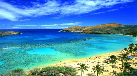 Top Imagen Hawaii Background Pictures Thpthoanghoatham Edu Vn