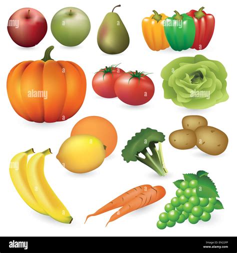 Set Of Fresh Fruits And Vegetables Vector Color Illustration On White