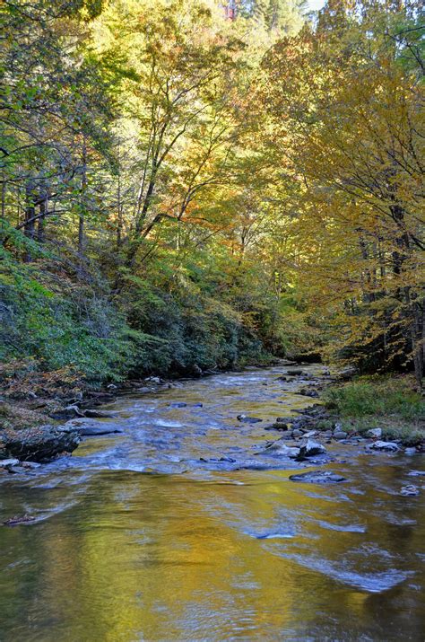 Deep Creek In The Great Smoky Mountains National Park Near Bryson City