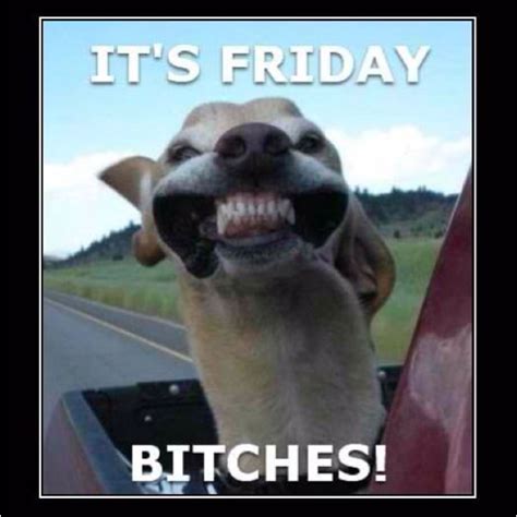 It S Friday It S Friday Bitches Pinterest