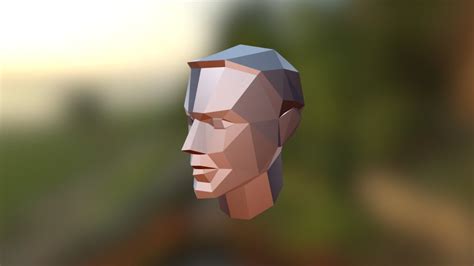 Low Poly Reference Male Head 3d Model By Neginfinity 1bd8d40