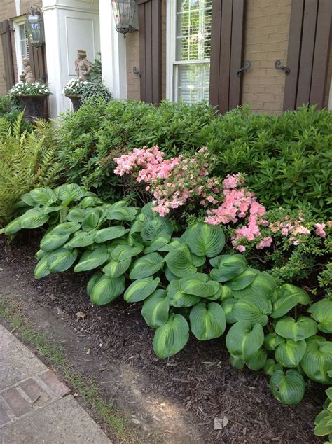 Love This For The Front Of My House Hosta Plants Hostas Rock Garden