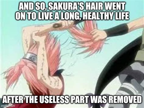 Useless Sakura Imgflip