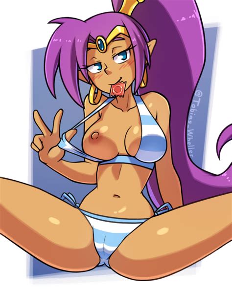 Shantae By Tobywell Hentai Foundry