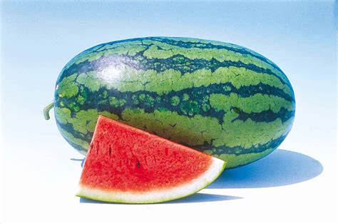 Watermelon Sweet Beauty All America Selections