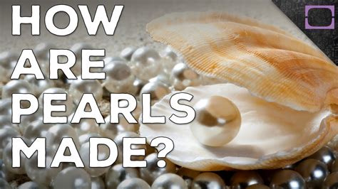 Tongue twisters aren't only great and fun to say. How Are Pearls Made? - YouTube