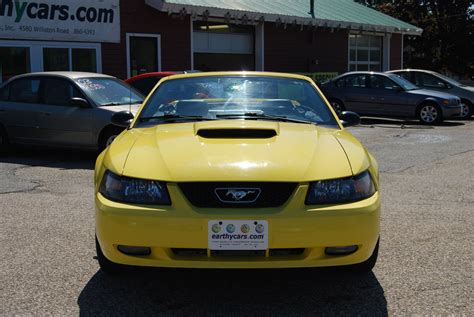 Earthy Cars Blog: EARTHY CAR OF THE WEEK: 2001 Ford Mustang GT