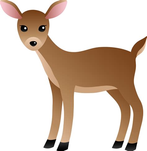 White Tailed Deer Clip Art Deer Reading Cliparts Png Download 6667