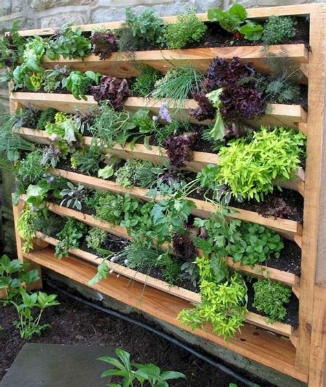 26 Creative Vegetable Garden Ideas And Decorations Vertical Vegetable