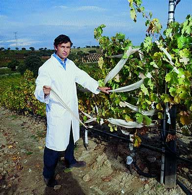 Como pilar estratégico en la agricultura y ganadería digital. INGENIERO AGRÓNOMO | Ingenieros en Peru | Ingenieria y ...
