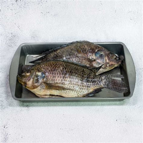 Buy Tilapia Online