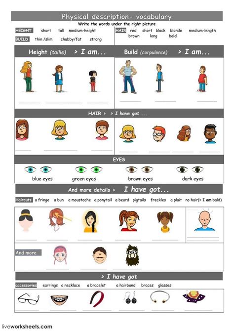 Physical Appearance Vocabulary Interactive Worksheet Physical
