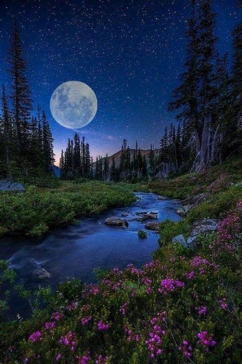 Moon photos moon pictures pretty pictures moon pics beautiful moon beautiful world beautiful places stars night shoot the moon. Sign in | Beautiful moon, Beautiful nature, Moon photography