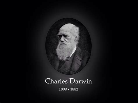Charles Darwin By Sloane Tiarks