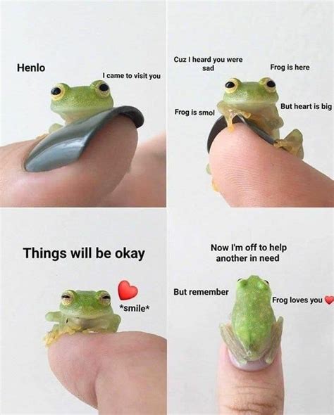 Froggy Is Here For You