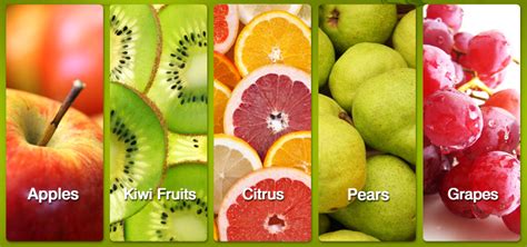 A small percentage of the population is allergic to citric acid, though the allergy may actually be to trace amounts of corn or black mold that may remain after processing. kissner group Archives - Ice Melter Distributor | Salt ...
