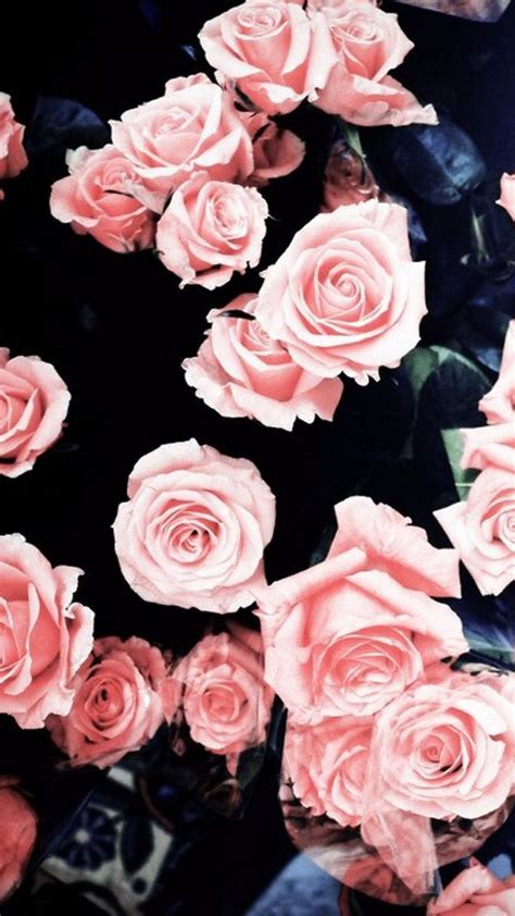 Floral wallpaper pink rose wall mural vintage flower wall art english home decor living room bedroom entryway murwall. Rose Gold Girly Wallpapers » Hupages » Download Iphone ...