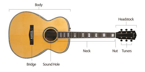Parts Of A Guitar Heartwood Guitar