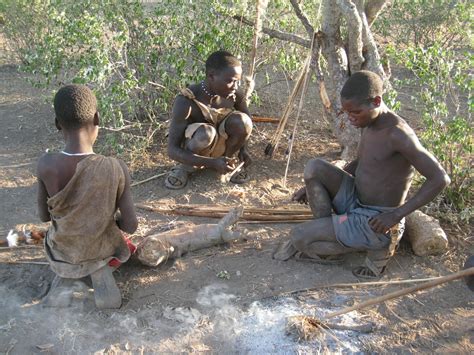 The Gut Microbes Of Modern Hunter Gatherers Reveal One Big Problem With