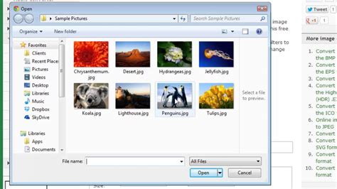 Find & download free graphic resources for jpg. How to Convert JPEG to TIFF - YouTube