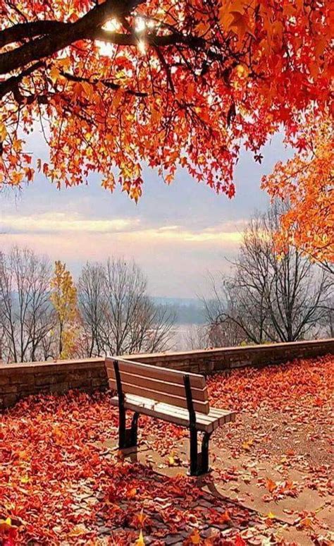 Pin By Rhonda Johnson On Nature Is Awe Autumn Scenery Beautiful