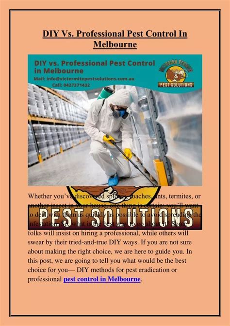 Ppt Diy Vs Professional Pest Control In Melbourne Powerpoint