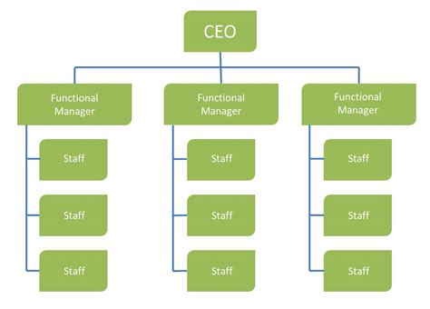 Functional Organizational Structure Ma