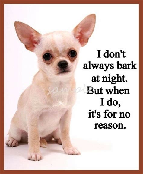 Funny Chihuahua I Dont Always Bark Refrigerator Magnet 3