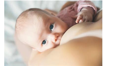 Lactation Consultant Los Angeles Confidence In Birth