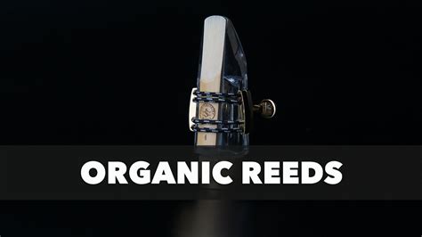 alta organic reeds from silverstein works youtube