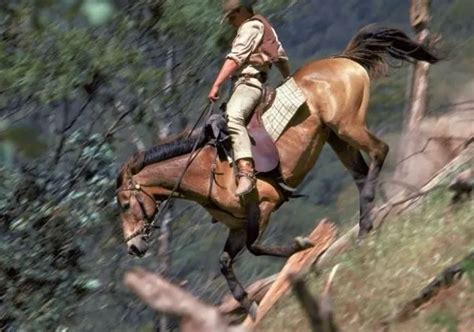 8 Facts About The Man From Snowy River Movie