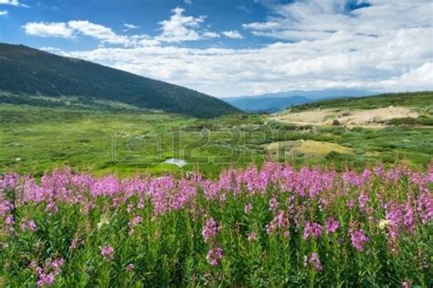 Rent a whole home for your next weekend or holiday. Pin by Steve Martin on Mountains of the Lord | Wild ...