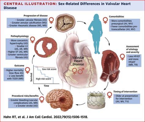 Sex Related Factors In Valvular Heart Disease Jacc Focus Seminar 5 7 Journal Of The American