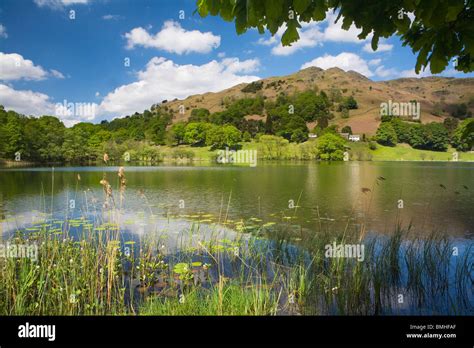 Loughrigg Tarn Lake District National Park England Uk Stock Photo