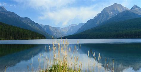 Damian Trevor Beautiful Lake Grasses Wilderness Photography Nature