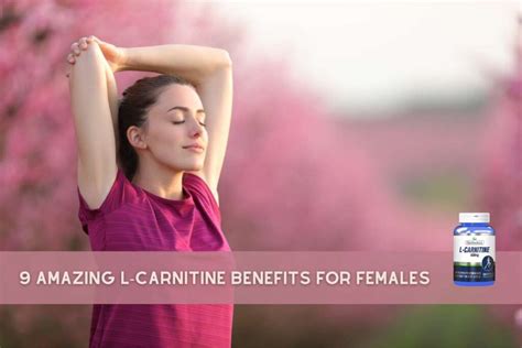 9 Amazing L Carnitine Benefits For Females