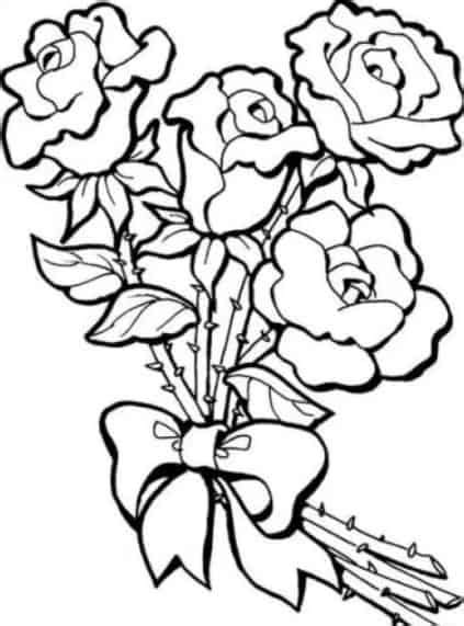 Beginilah Contoh Sketsa Bunga Kembang Sepatu Yang Wajib Diketahui