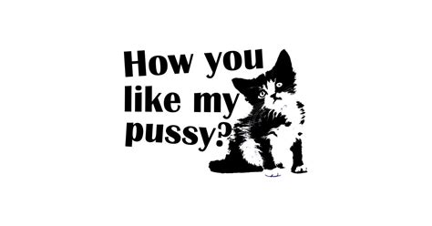 how you like my pussy pussy autocollant teepublic fr