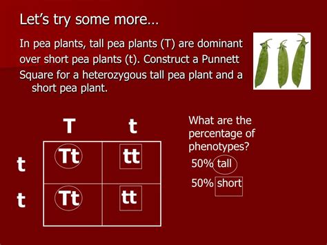 Some alleles can be expressed if the person only has one copy of it. PPT - IAN PAGE 91 Dominant & Recessive Alleles PowerPoint ...