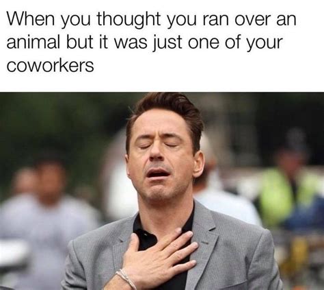 50 Best Work Memes To Share With Your Co Workers Funny Memes Photos