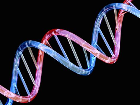 First Of Its Kind Dna Video Raises Big Question About Molecule Of Heredity