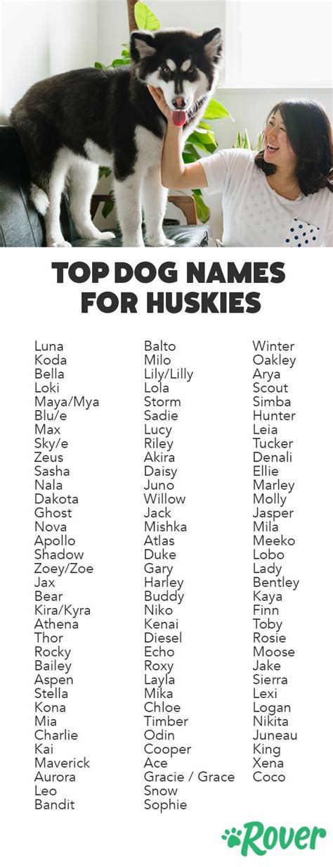 Top 100 Most Popular Husky Names Of 2020 Funny Dog Names Pet Names