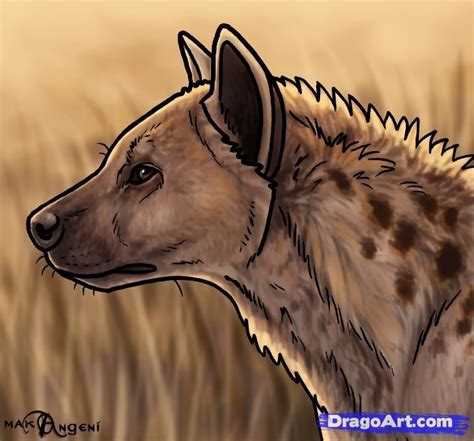 Pin By Kylie On Doodles In 2019 Hyena Tattoo Hyena Drawings