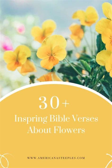 30 Glorious Bible Verses About Flowers Americana Steeples