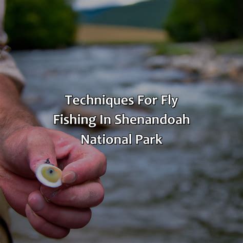 Fly Fishing In Shenandoah National Park A Detailed Guide Angling Insight
