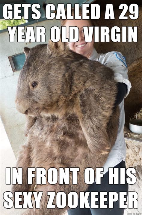 Wombat Memes