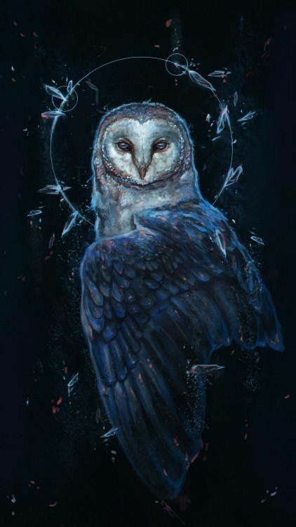 Art And Illustration Owl Artwork Illustrations Fantasy Kunst Fantasy