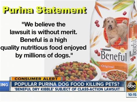 Purina Beneful Dog Food Lawsuit Man Claims Dog Food Brand Killing Pets