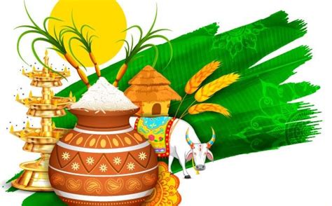 Pongal 2019 Heres Everything You Need To Know About Pongal Pongal