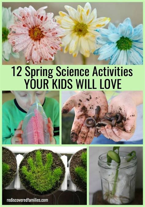 12 Spring Science Activities Your Kids Will Totally Love Rediscovered